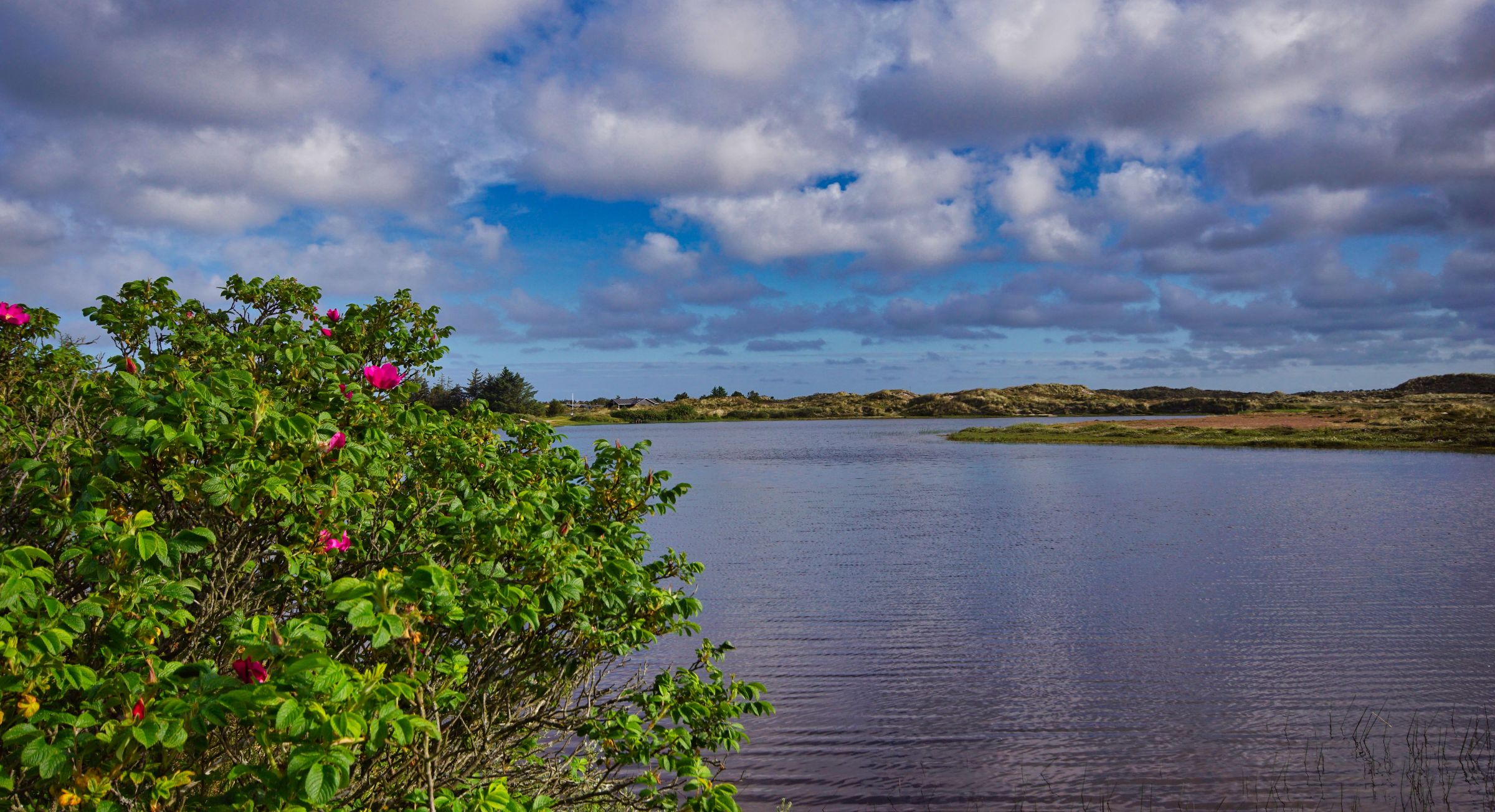 Vejers Strand See Nord